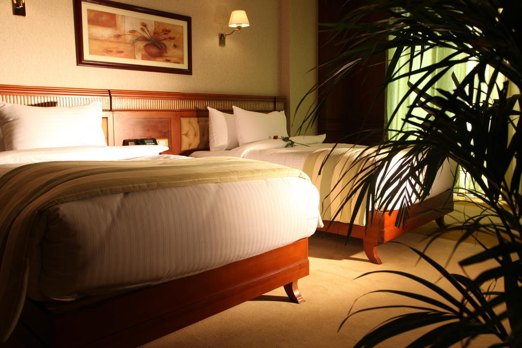 Helnan Landmark Hotel Kairo Rom bilde